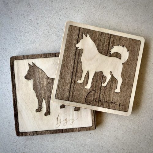 Dog Coasters